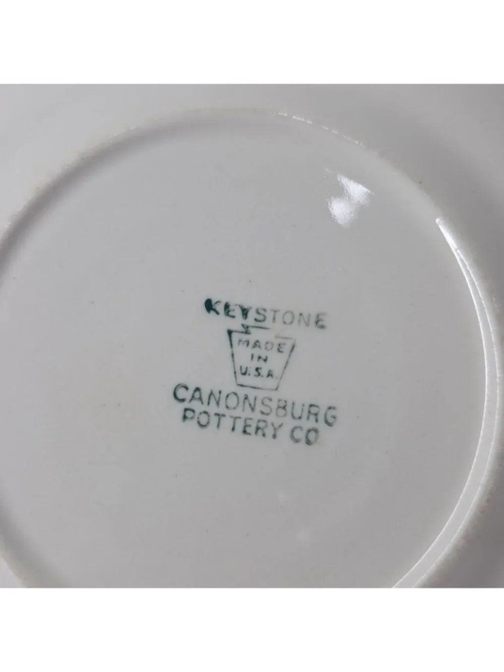 Vtg Keystone Canonsburg Pottery Co Pink Floral Tea Cup & Saucer 1950s Feminine